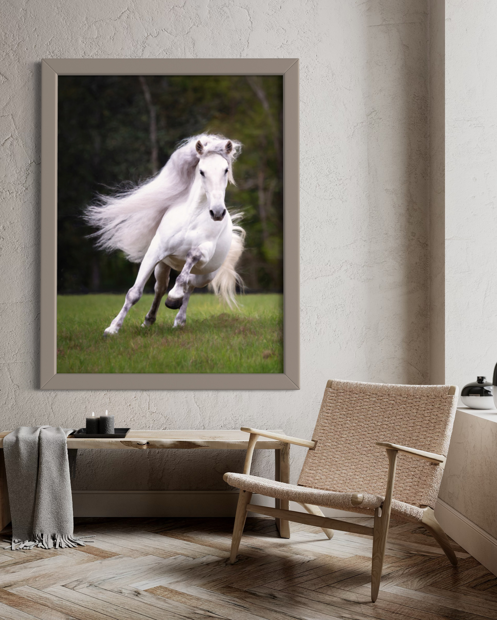 Framed Canvas Wall Art Andalusian Horse at Liberty in the Field.