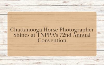Tennessee Horse Photographer Shines at TNPPA’s 72nd Annual Convention