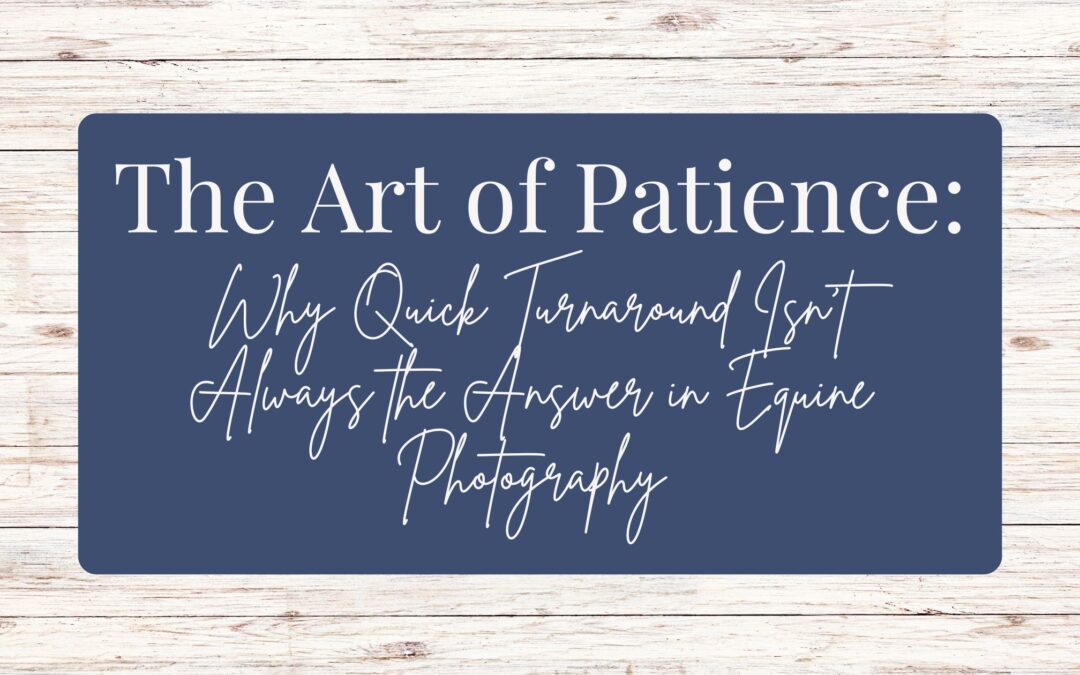 The Art of Patience: Why Quick Turnaround Isn’t Always the Answer in Equine Photography