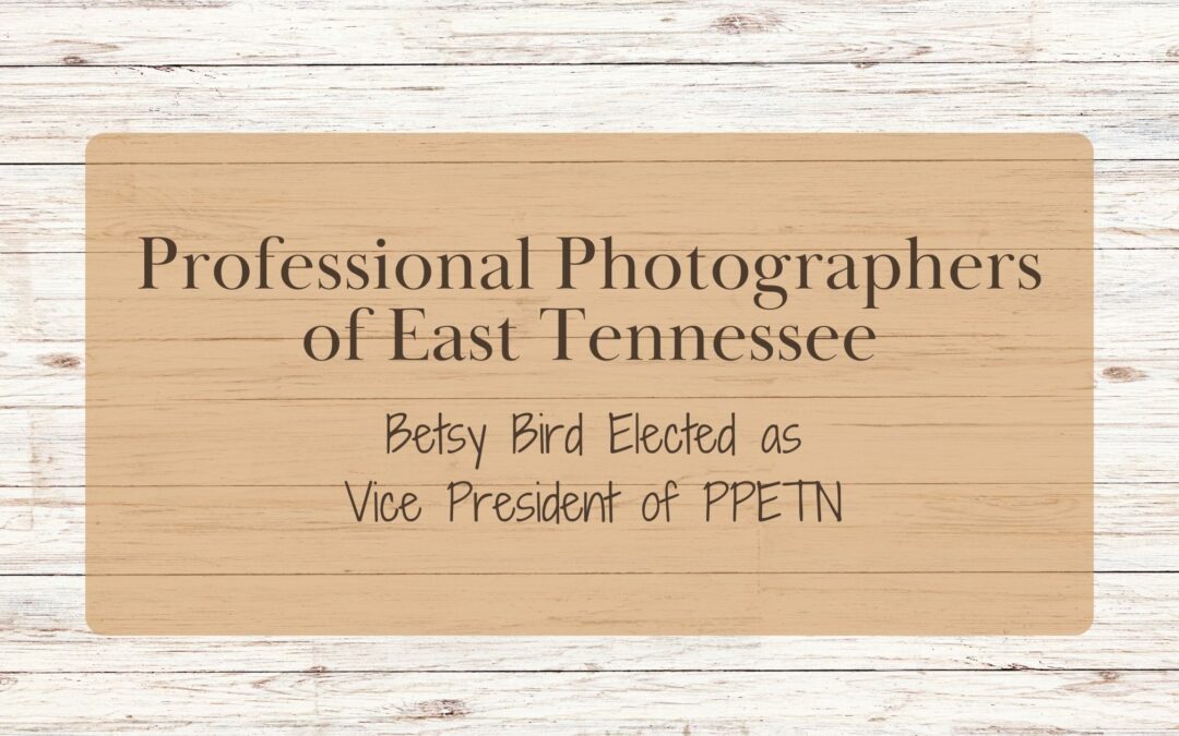 Betsy Bird Elected as Vice President of Professional Photographers of East Tennessee (PPETN)