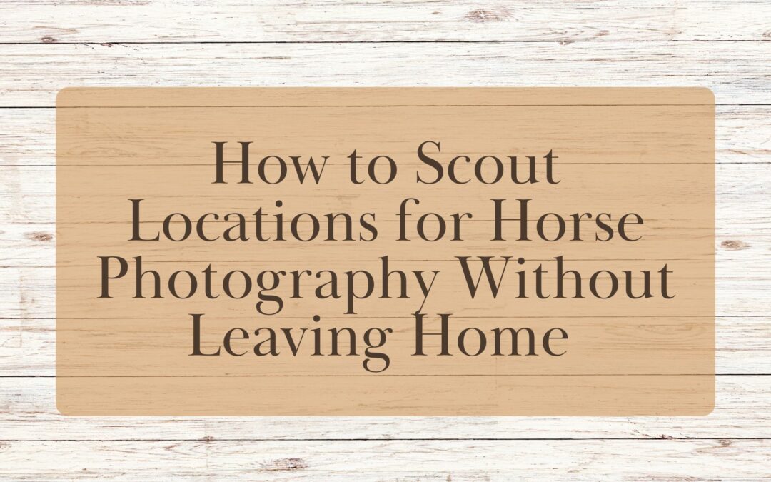 How to Scout Locations for Horse Photography Without Leaving Home