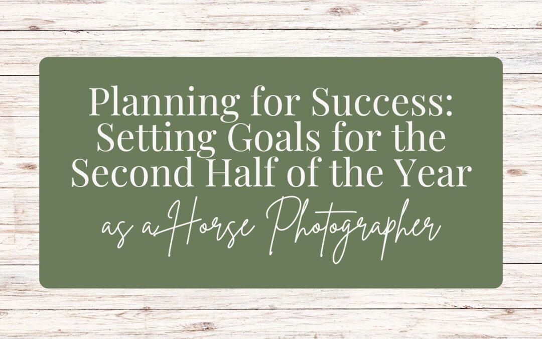 Planning for Success: Setting Goals for the Second Half of 2024 as a Horse Photographer