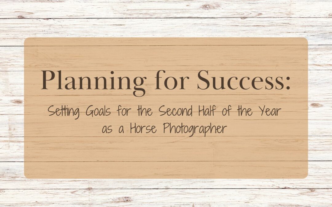 Planning for Success: Setting Goals for the Second Half of 2024 as a Horse Photographer