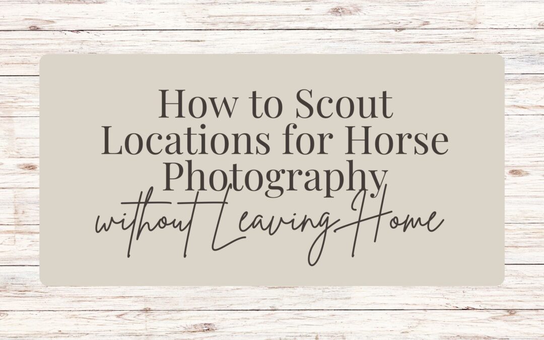 How to Scout Locations for Horse Photography Without Leaving Home