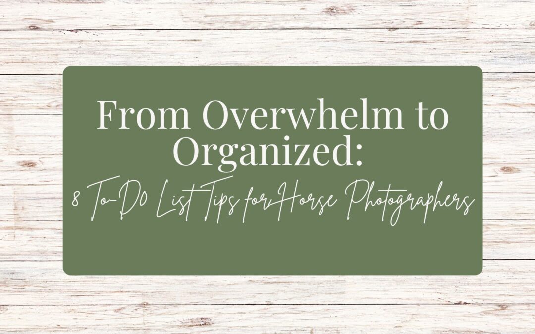 From Overwhelm to Organized: 8 To-Do List Tips for Horse Photographers