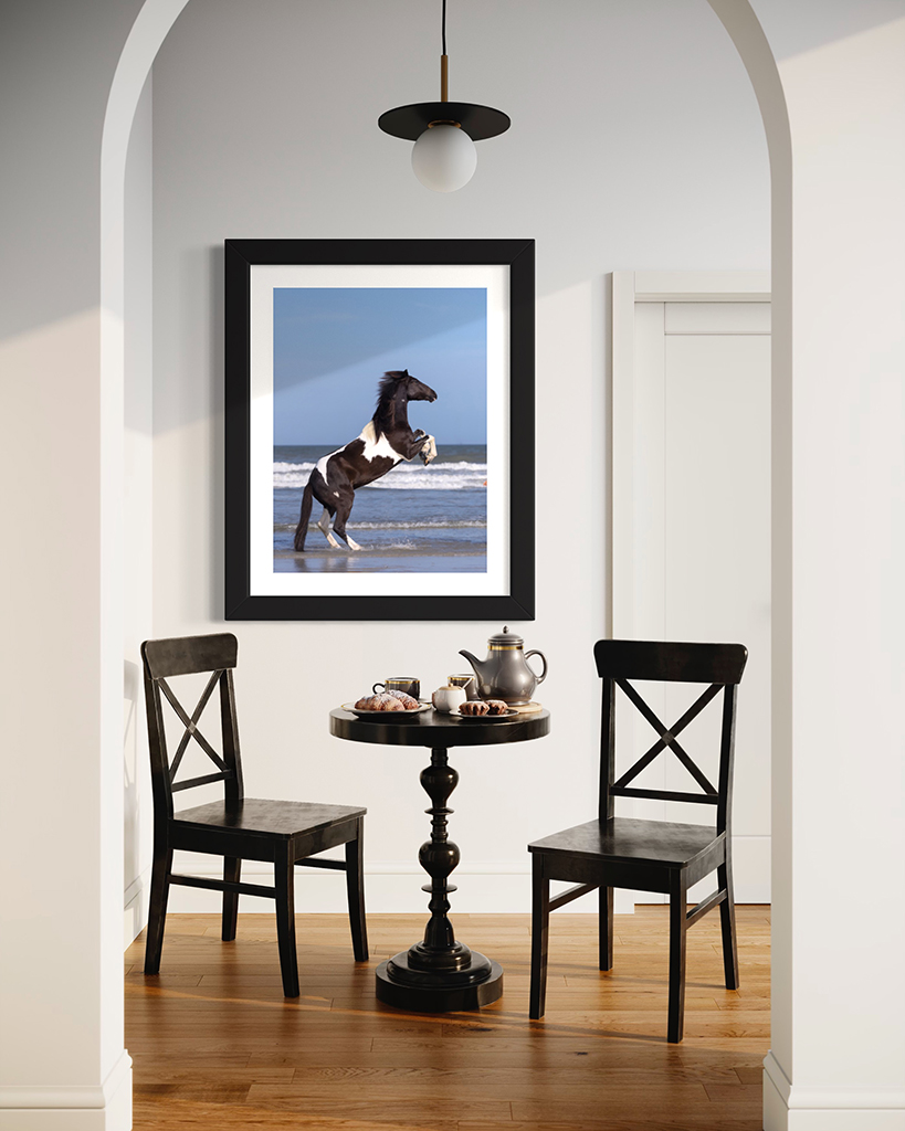 Framed Print wall art of friesian horse with bridle on black background