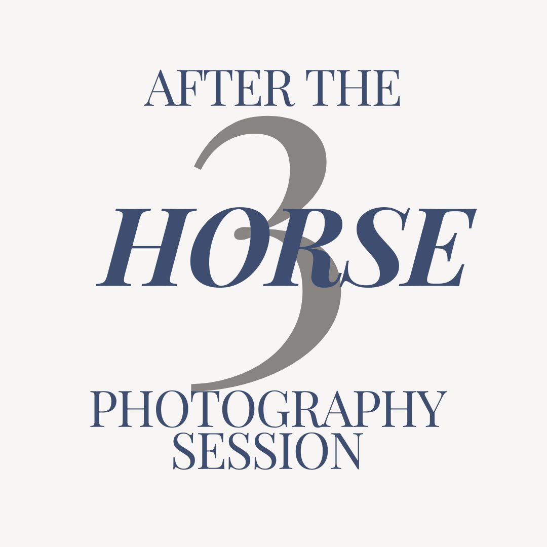 Horse Photography Session After