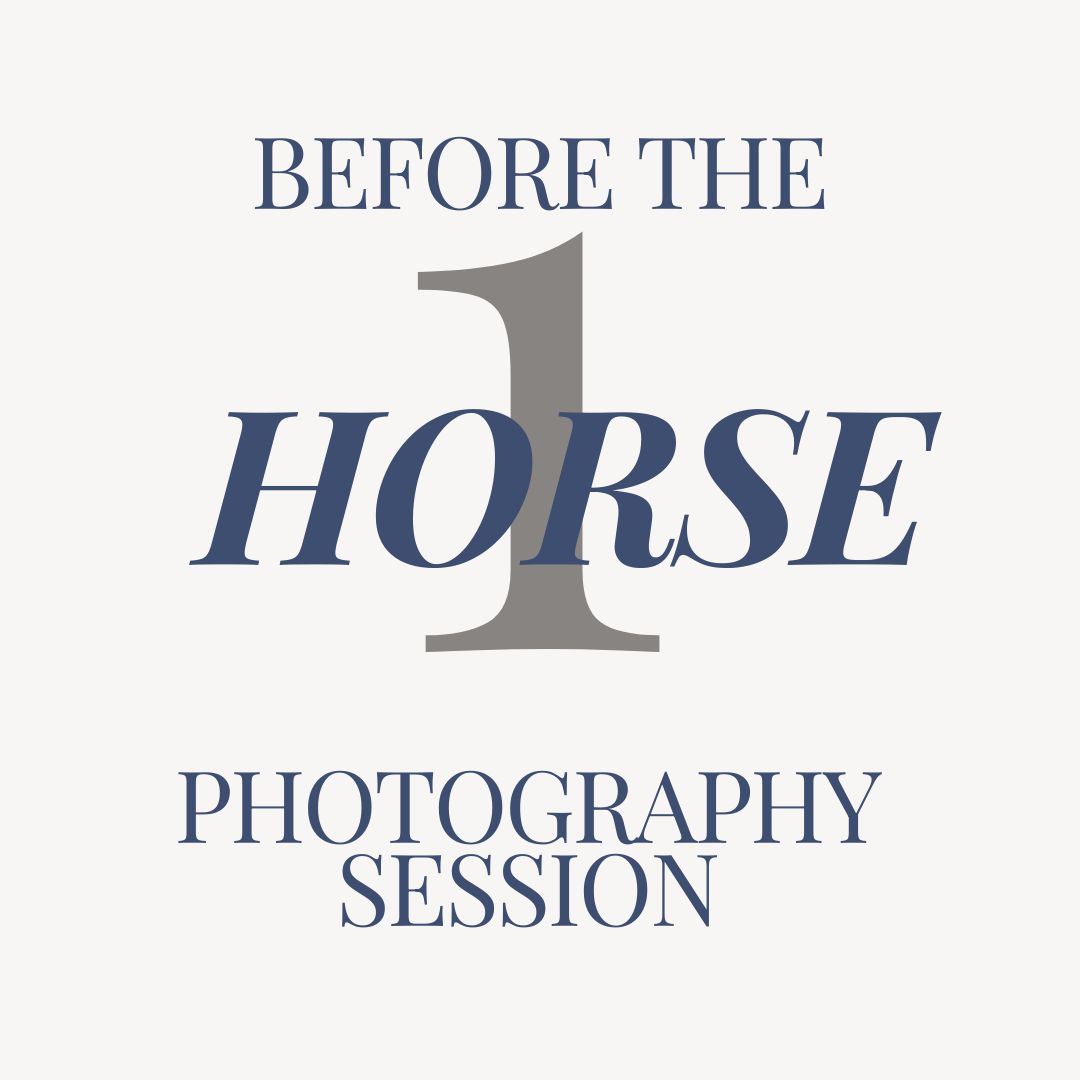 Horse Photography Session Consultation