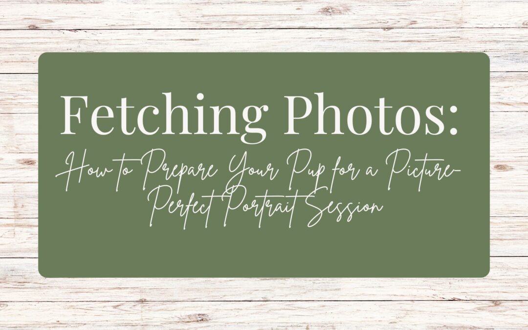 Fetching Photos: How to Prepare Your Pup for a Picture-Perfect Portrait Session