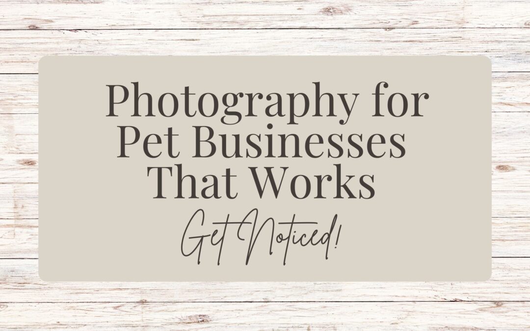 Get Noticed: Photography for Pet Businesses That Works