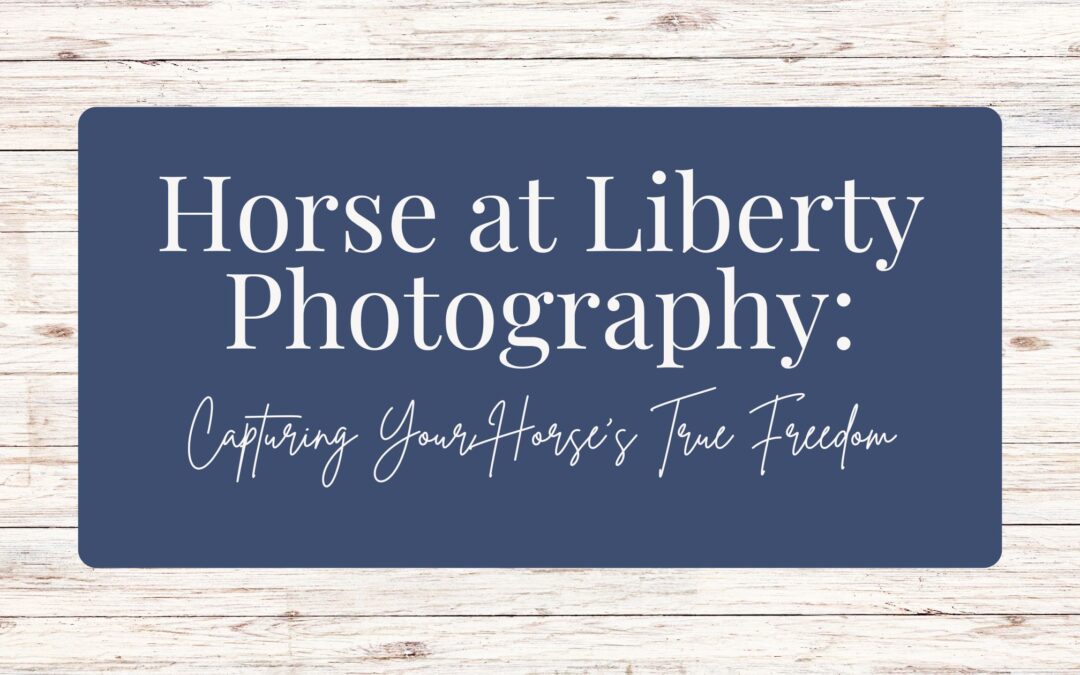 Horse at Liberty Photography: Capturing Your Horse’s True Freedom