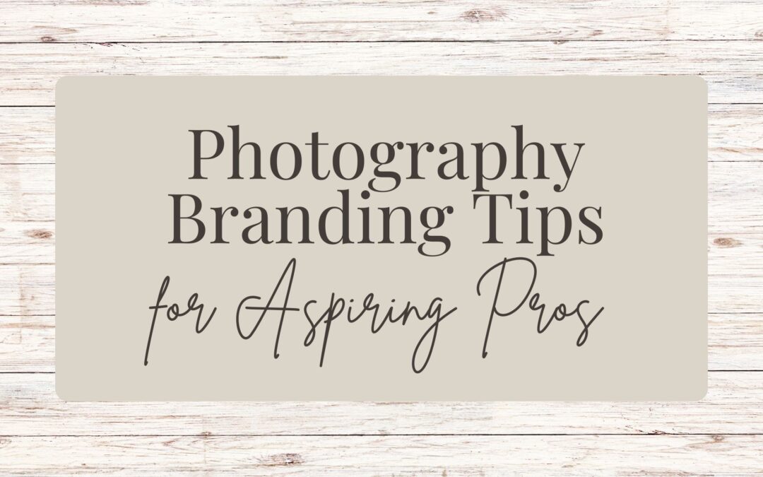 Horse Photography Business Branding Tips for Aspiring Pros