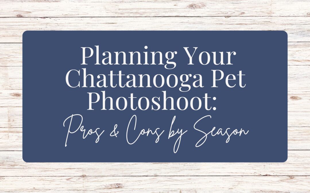 Planning Your Chattanooga Pet Photoshoot: Pros & Cons by Season