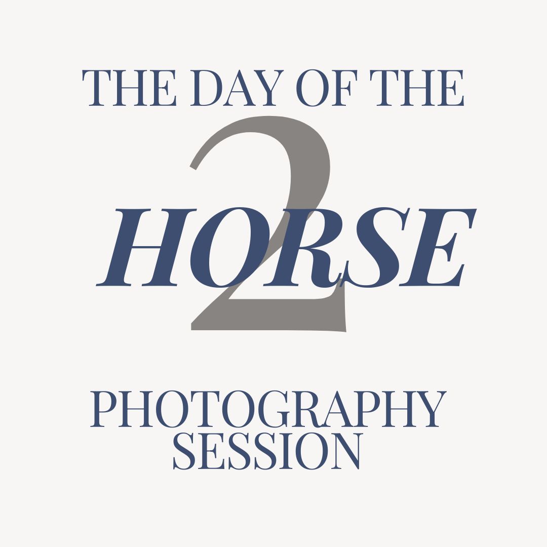 Horse Photography Session Day of