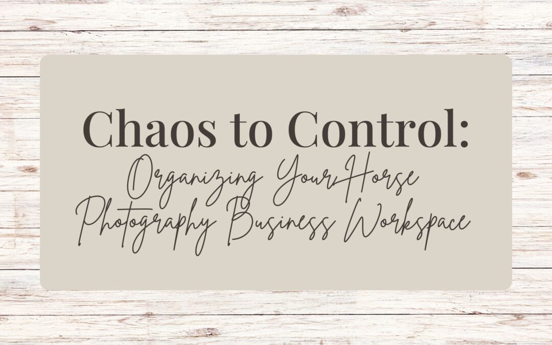 Chaos to Control: Organizing Your Horse Photography Business Workspace