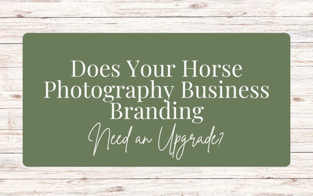 Does Your Horse Photography Business Branding Need an Upgrade?