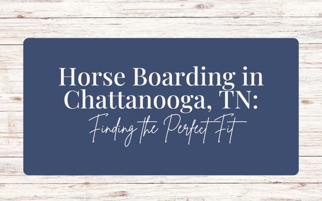 Horse Boarding in Chattanooga, TN: Finding the Perfect Fit