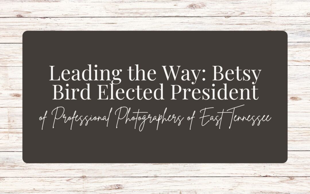 Leading the Way: Betsy Bird Elected Professional Photographers of East Tennessee President