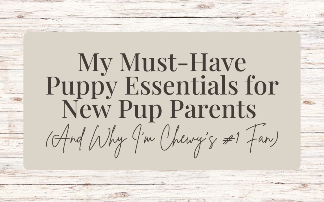 My Must-Have Puppy Essentials for New Pup Parents (And Why I’m Chewy’s #1 Fan)